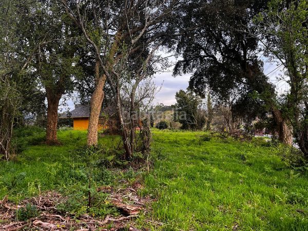 Foto 6f9e9d96-a9ee-4cab-8184-a8a8ab9b4ba9. Terreny residencial a Rosal (O)