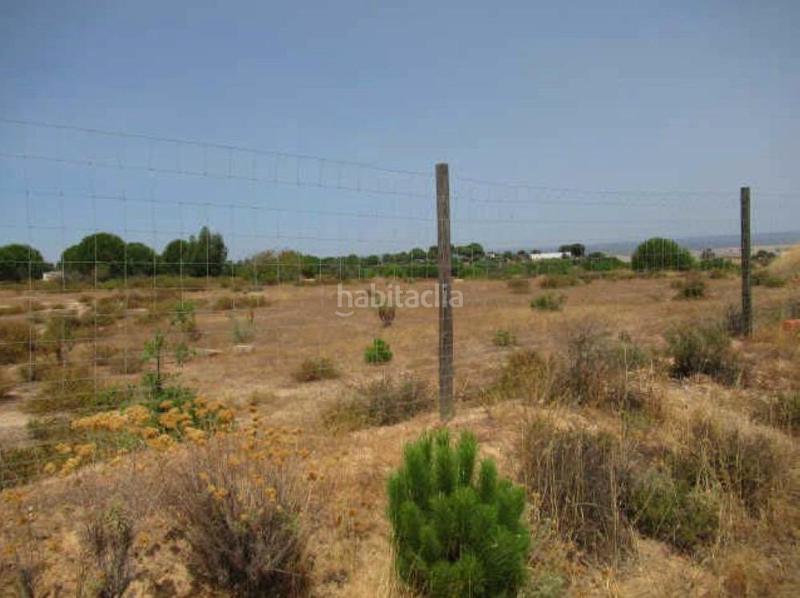 Foto d87bfc29-7236-4d96-a0dc-a19858556950. Masia a Palma del Condado (La)