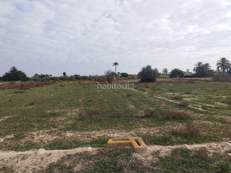 Foto 369993e9-82dc-4c31-9395-6768c88a626e. Terreny residencial a Perleta - Maitino Elche / Elx