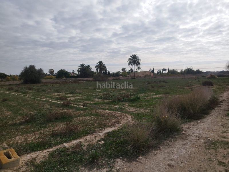 Foto c4cfb963-8432-4632-954f-5575a7f89e13. Terreny residencial a Perleta - Maitino Elche / Elx