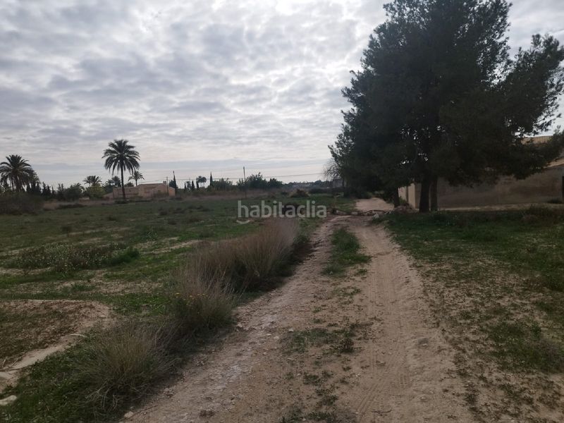 Foto e1feaeaa-e8e1-49b1-bab2-872e21805852. Terreny residencial a Perleta - Maitino Elche / Elx