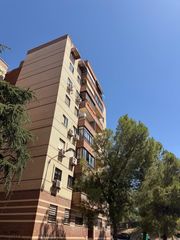 Pis a Centro. Fantástico piso en campo olivar con terraza y vistas despejadas