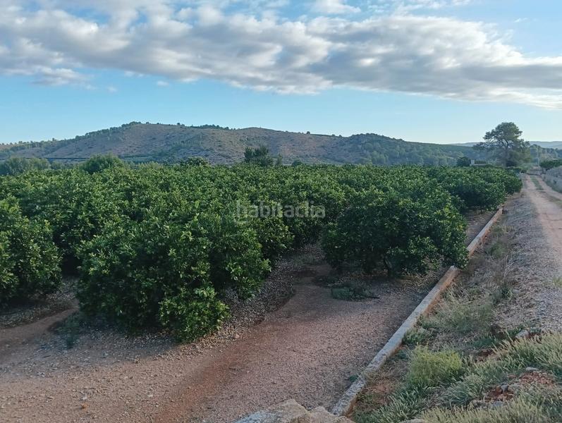 Foto 113060c7-3722-497c-87a2-f0bd784fc74a. Finca rústica a Lugar Nuevo de Fenollet