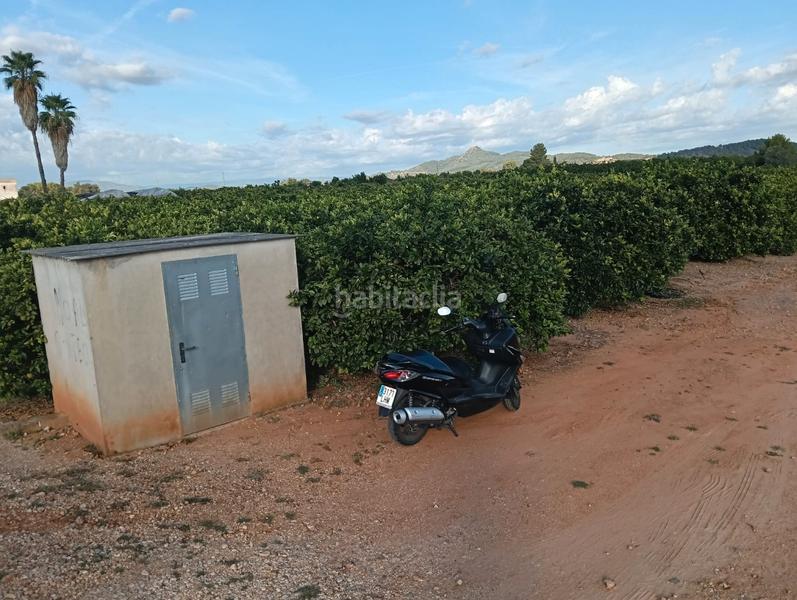 Foto 23050bbc-cb64-430d-9357-12bc513d836f. Finca rústica a Lugar Nuevo de Fenollet