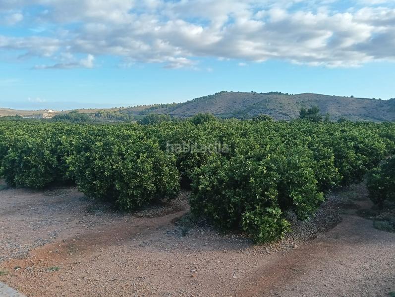 Foto a3297533-36d1-44d6-83d6-18a213f4b765. Finca rústica a Lugar Nuevo de Fenollet