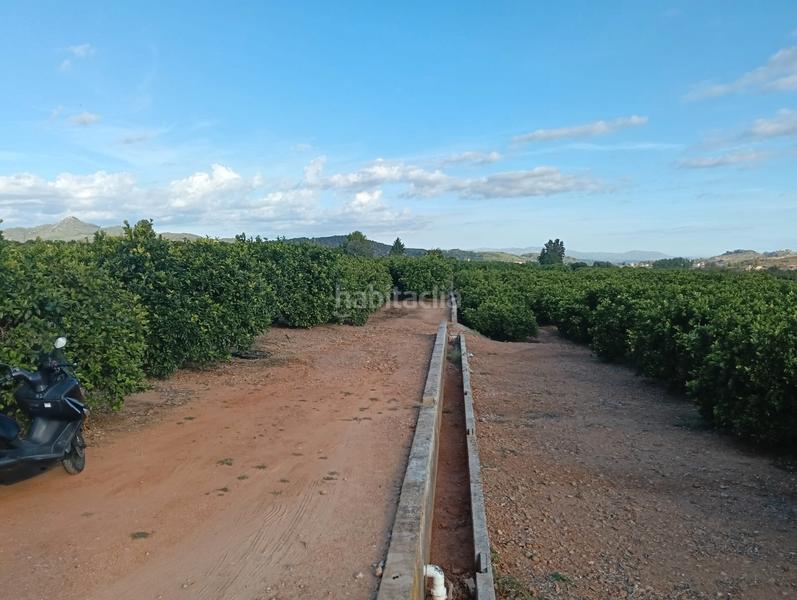 Foto c80cc129-e996-422f-b04a-a9431ee617fb. Finca rústica a Lugar Nuevo de Fenollet