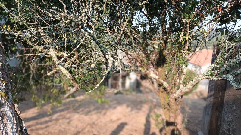 Foto 13f9eb35-0089-4e71-abe2-cacfb760fd8d. Casa a Outes