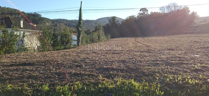 Foto 1f3ed624-4dd4-4788-90f7-d985c783bf0b. Finca rústica en valbargos 40 venta finca en Noia