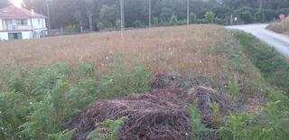 Terreny residencial  Dp-4201