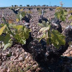 Landgut  Carretera pesquera