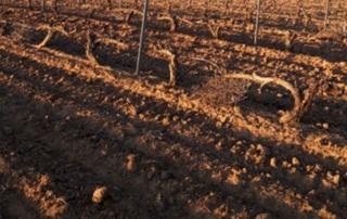 Propriété  Avenida de la constitucion