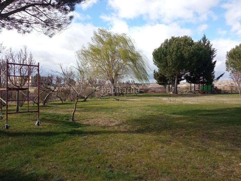 Foto 3d4a438c-65bc-4785-b234-e4665a9a0a7a. Finca rústica a Pelabravo
