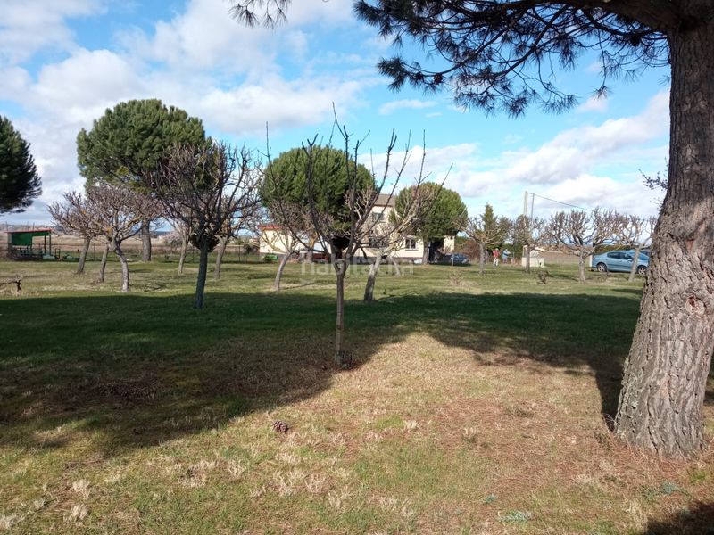 Foto 41f9b3b7-54c9-4371-9a74-aa971711a88a. Finca rústica a Pelabravo