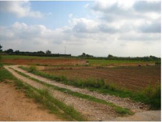 Finca rústica a Alginet