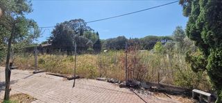 Fondo rustico in La Punxa