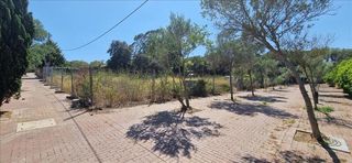 Fondo rustico in La Punxa