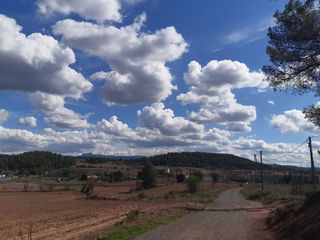 Finca rústica a Sant Fruitós de Bages