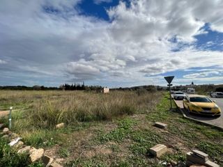Rural plot in Santa María del Camí