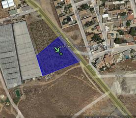 Rural plot in Las Norias
