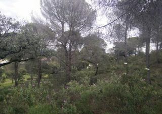 Finca rústica en Cerro Muriano