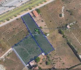 Rural plot in Villarrubia