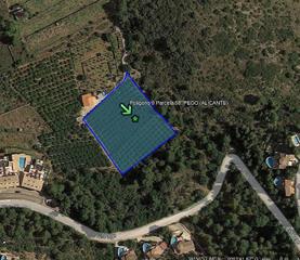 Finca rústica en Pego