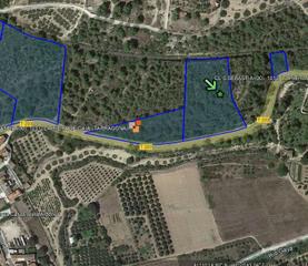 Rural plot in Riera de Gaià (La)