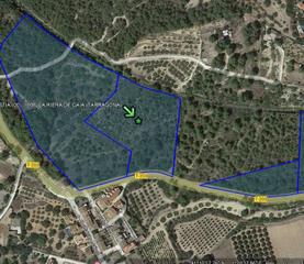 Rural plot in Riera de Gaià (La)