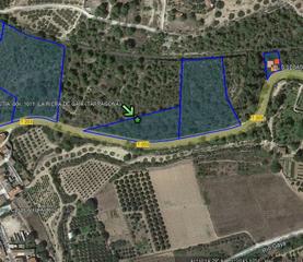 Rural plot in Riera de Gaià (La)