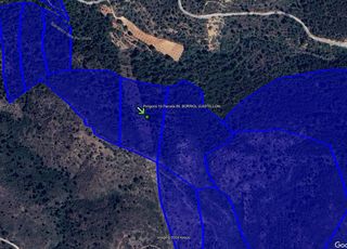 Rural plot in Borriol