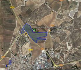 Fondo rustico in Pinoso