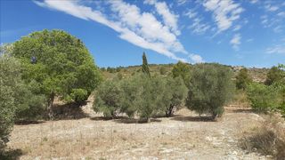 Rural plot in Santa Ana