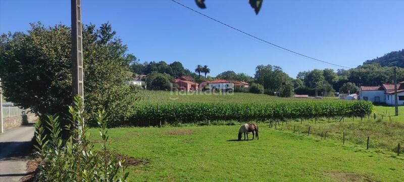 Foto 8d4f2546-f326-4941-a6da-70a7b82244d5. Finca rústica a Reocín