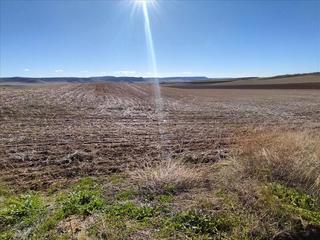 Landgut in Anchuelo