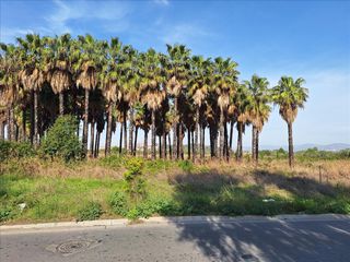 Fondo rustico in Playa del Puig