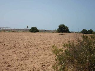 Rural plot in Las Tres Piedras - Costa Ballena