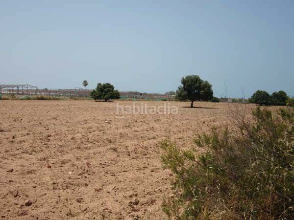 Foto 555da15d-289d-48b9-a690-3c03725b2d7f. Finca rústica en Las Tres Piedras - Costa Ballena Chipiona