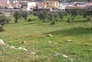 Rural plot in Zona Sur - Av. De España - San Miguel