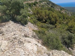 Rural plot in Vilamarxant