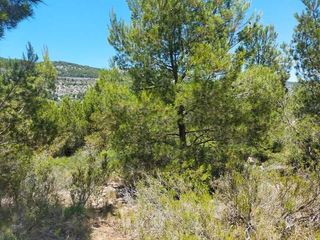 Rural plot in Alcossebre