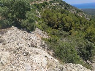Rural plot in Alcossebre