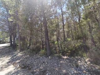 Rural plot in Alcossebre