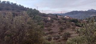 Landgut in Chaparil - Torrecilla - Punta Lara