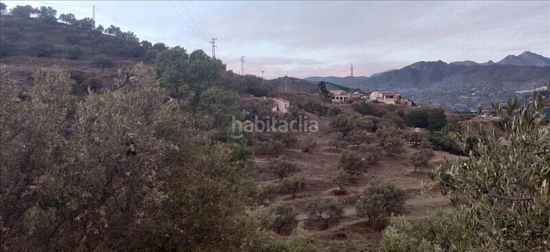 Foto a9f6d34d-af30-4999-bb10-5e753fcdfb22. Finca rústica en Chaparil - Torrecilla - Punta Lara Nerja