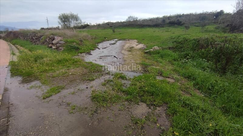 Foto 497c995d-45f7-4918-a6ad-1853922b8c95. Finca rústica a Zona Sur - Av. De España - San Miguel Plasencia