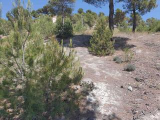 Fondo rustico in Simancas