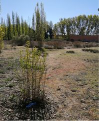 Finca rústica a Laguna de Duero