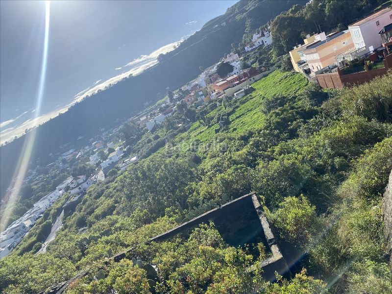 Foto 1292251a-c667-457c-a283-23fe6a4f8d27. Finca rústica en Los Portales - Visvique Arucas