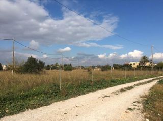 Fondo rustico in Costa Norte