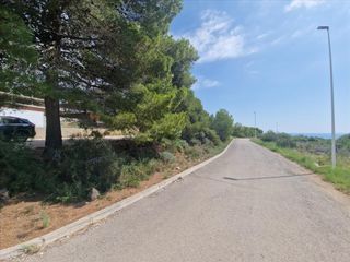 Rural plot in Costa Sur
